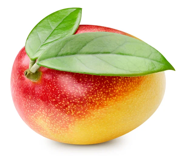 Frutto di mango isolato su bianco — Foto Stock