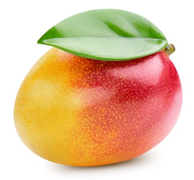 Beyaz üzerine izole edilmiş mango meyvesi.