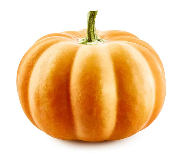 Pumpkin isolated on white — Stock Photo, Image