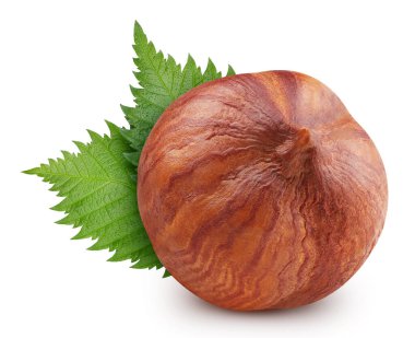 Yapraklı fındık. Fındıklı greyfurt beyaz arka planda izole edilmiş. Fındıklı makro. kırpma yolu ile