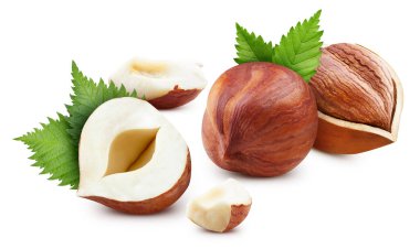 Fındık, beyaz arka planda izole edilmiş. Fındıklı, yarı makro stüdyo fotoğrafı. Yapraklı fındık. kırpma yolu ile