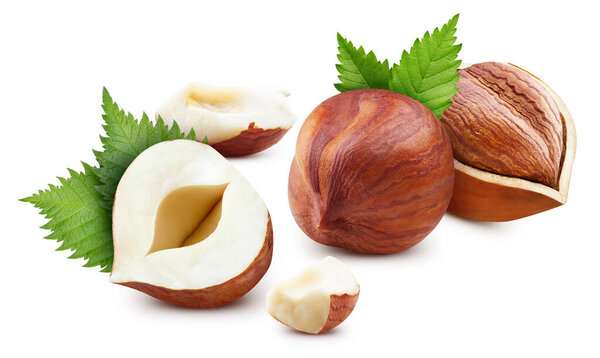 Hazelnut изолированы на белом фоне. Половина макростудийного фото. Орех с листьями. С обрезанием пути
