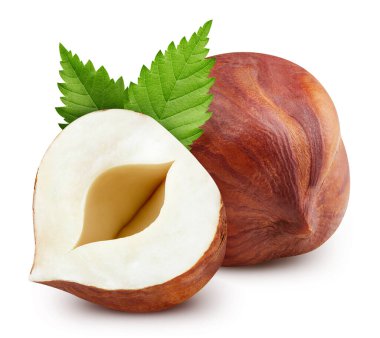 Fındıklı. Fındık, beyaz arka planda izole edilmiş. Fındık kesme yolu.