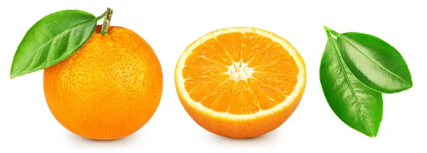 Orange collection Clipping Path — Stock Photo, Image