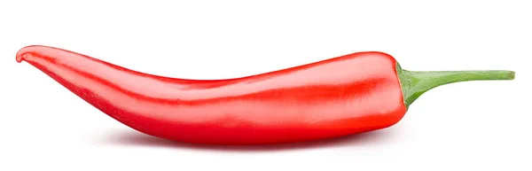 Papryka chili pełne makro pędu — Zdjęcie stockowe