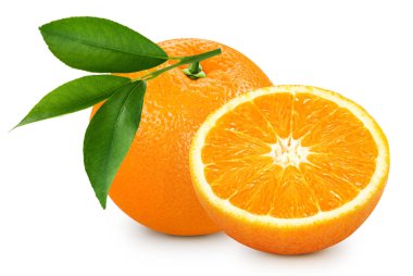 Olgunlaşmış yeşil yapraklı portakal meyvesi