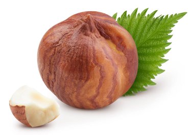 Fındık beyaz arkaplanda izole