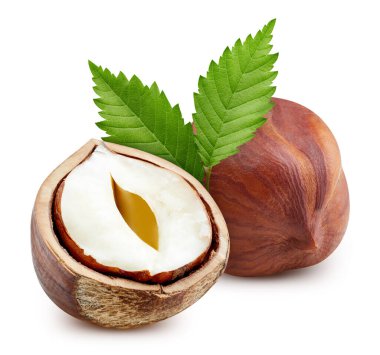 Fındık, yarı makro stüdyo fotoğrafı.