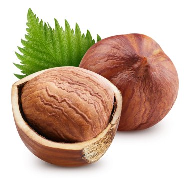 Fındıklı fındık. Fındık dolu makro beyaz izole edilmiş gıda malzemesi. Fındık yolu kırpılıyor