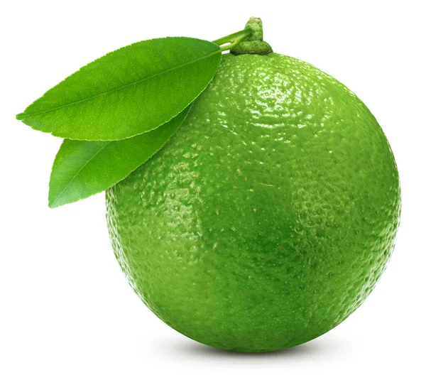 Frutta fresca biologica di lime isolata — Foto Stock