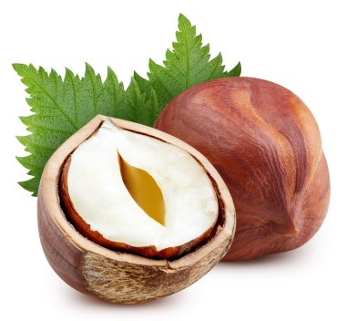 Beyaz arka planda izole edilmiş organik fındıklar. Yapraklı fiberin tadına bak. Kırpma yolu ile tam alan derinliği