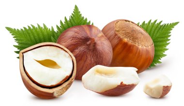 Yeşil yapraklı fındıklar. Fındık dolu makro beyaz izole edilmiş fındıklı sağlıklı besin maddesi. Paket için uygun yol kırpılıyor