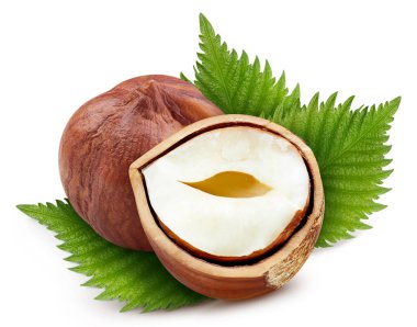 Fındık, beyaz arka planda izole edilmiş. Fındıklı makro stüdyo fotoğrafı. Kesme yolu olan fındık