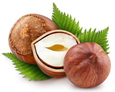 Beyaz arkaplanda yaprakları olan fındıklar