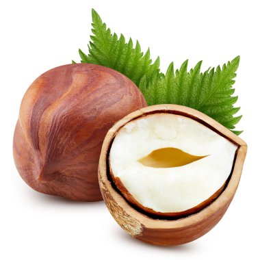 Beyaz arkaplanda izole edilmiş organik fındıklar