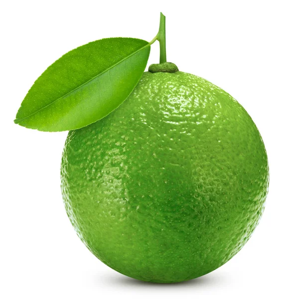 Fresh organic lime isolated on white background — Stock Photo, Image