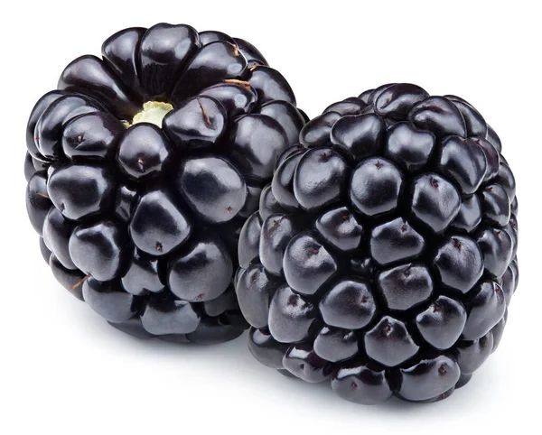 成熟的黑莓在白色的背景上与剪枝路径隔离 实地的全部深度 — 图库照片