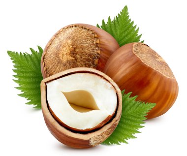 Beyaz arka planda izole edilmiş organik fındıklar. Yapraklı fındık tadı. Kırpma yolu ile tam alan derinliği