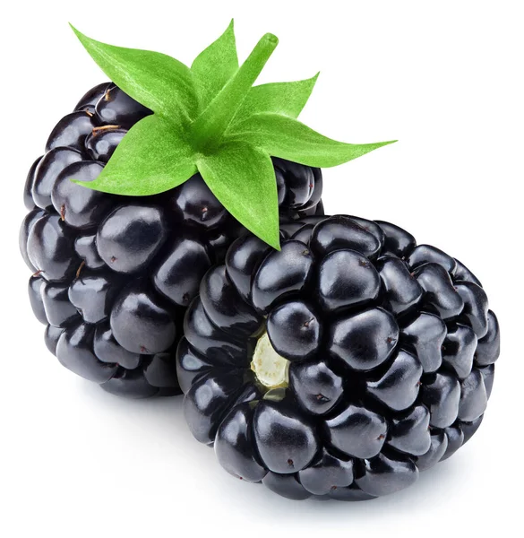 Ripe Taste Blackberry Green Leaf Clipping Path Organic Fresh Blackberry — Stock Photo, Image