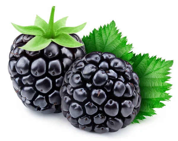 Composition Blackberries Beautiful Leaves Organic Blackberries Isolated White Background Taste — Stock Photo, Image