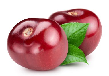 Beyaz arka planda izole edilmiş kiraz. Kiraz yaprağı makro stüdyo fotoğrafı. Kesme yolu Kiraz