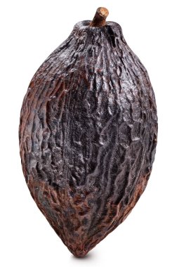 Kakao izole edilmiş beyaz arka plan. Kırpma yolu olan kakao kabuğu