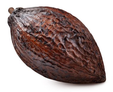 Kakao izole edilmiş beyaz arka plan. Kırpma yolu olan kakao kabuğu