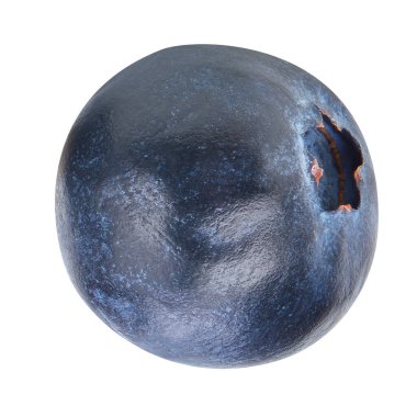 Beyaz arka planda yaban mersini izole edilmiş. Yabanmersini Kırpma Yolu