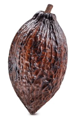 Kakao izole edilmiş beyaz arka plan. Kırpma yolu olan kakao kabuğu