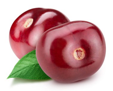 Beyaz arka planda izole edilmiş iki kiraz. Kirazlı makro stüdyo fotoğrafı. Kiraz Kırpma Yolu