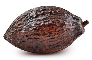 Brown cocoa pods isolated on a white background. Cocoa pods with clipping path. Cocoa full macro