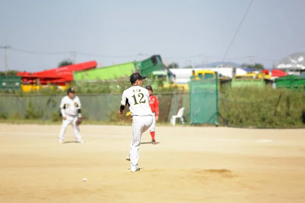 Bir Beyzbol Oyunu Oyna — Stok fotoğraf