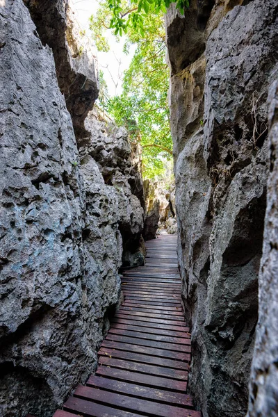 Wooden Bridge Narrow Gorge Walking Trail Nature Tourism Thale Nai — Stock Photo, Image