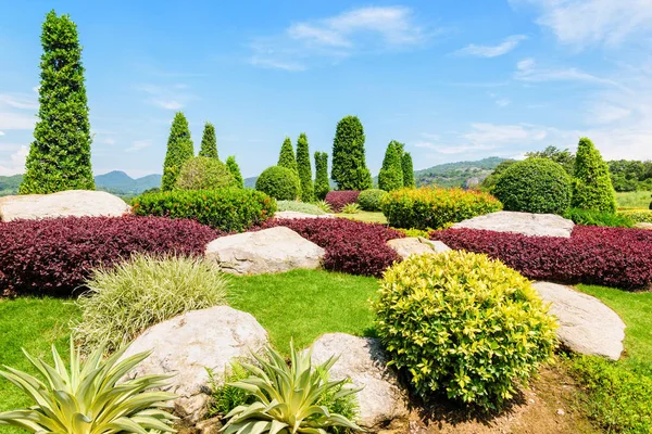 Belo Jardim Decorado Com Pedras Plantas Ornamentais Árvores São Podadas — Fotografia de Stock