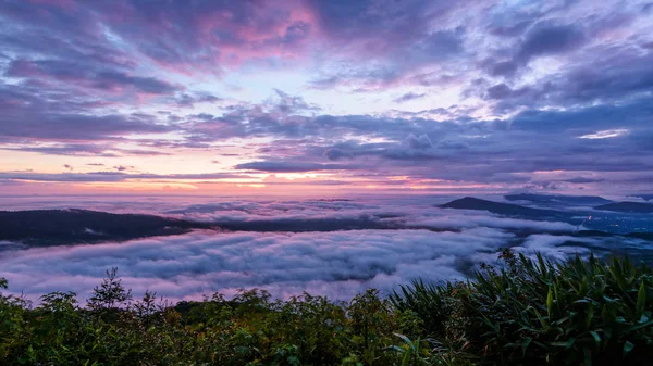 Красивый Природный Ландшафт Тумана Покрывает Вершину Красочное Небо Время Восхода — стоковое фото