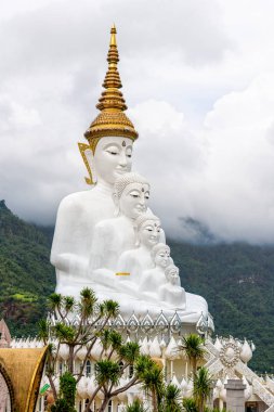 Buda heykelinin dağda, doğayla çevrili, Pha Sorn Kaew Tapınağı 'nda bulut örtüsü bulunan büyük, beyaz bir bedeni vardır.