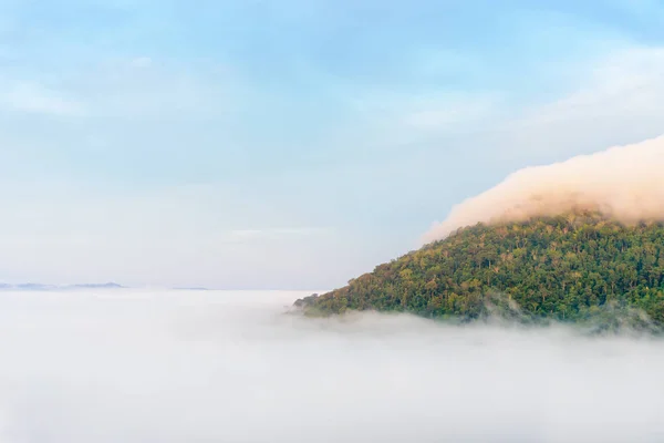 美しい自然の風景霧谷と高角度の視点から見た緑の山 カオコー地区 タイのペッチャブン県で有名な観光スポット — ストック写真