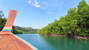 Timsah mağarada Koh Tarutao, Tayland için cruise