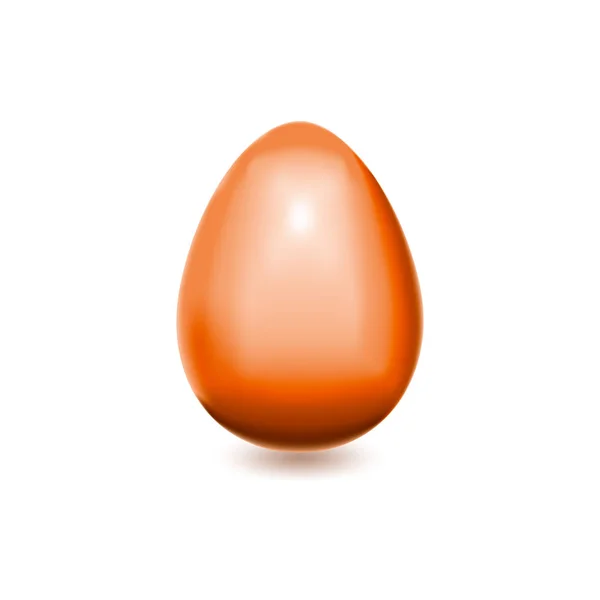 Un œuf d'oiseau isolé brun réaliste en gros plan — Image vectorielle