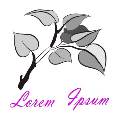 Yaprakları ile dekoratif siyah beyaz şube