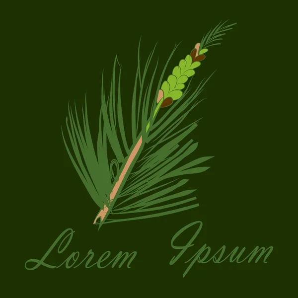 Sebuah cabang pinus dengan jarum hijau dan kerucut laki-laki Stok Ilustrasi 