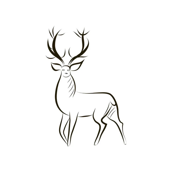 Ruční kresba obrysů půvabné jeleny — Stockový vektor