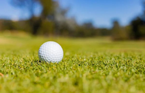Närbild Golfboll Grön Fairway Golfbana — Stockfoto