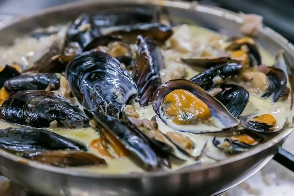 Freshly cooked South African Seafood Mussels in a creamy type sauce
