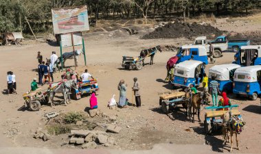 Addis Ababa, Etiyopya, 30 Ocak 2014, eşek at arabaları ve taksiler yolun kenarında