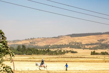 Addis Ababa, Etiyopya, 30 Ocak 2014, nohut çiftçi bir binicilik sırasında cep telefonuna