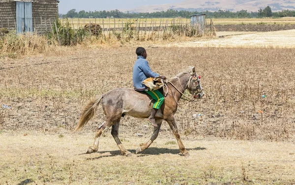 Addis Ababa Ethiopia January 2014 Man Riding Horse Next Dry — Stock Photo, Image