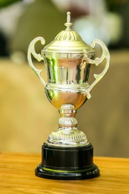 Büyük spor kupa kurumsal gala yemeği kazanan için ödüller ziyafet olay
