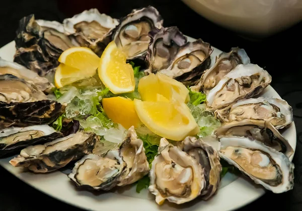 Taze deniz ürünleri istiridye ve limon kurumsal gala yemeği ziyafet Event'de catering için buz