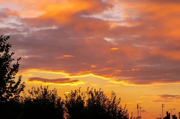 Silhouet Bomen Antennes Daken Een Engelse Stad Bij Zonsondergang — Stockfoto